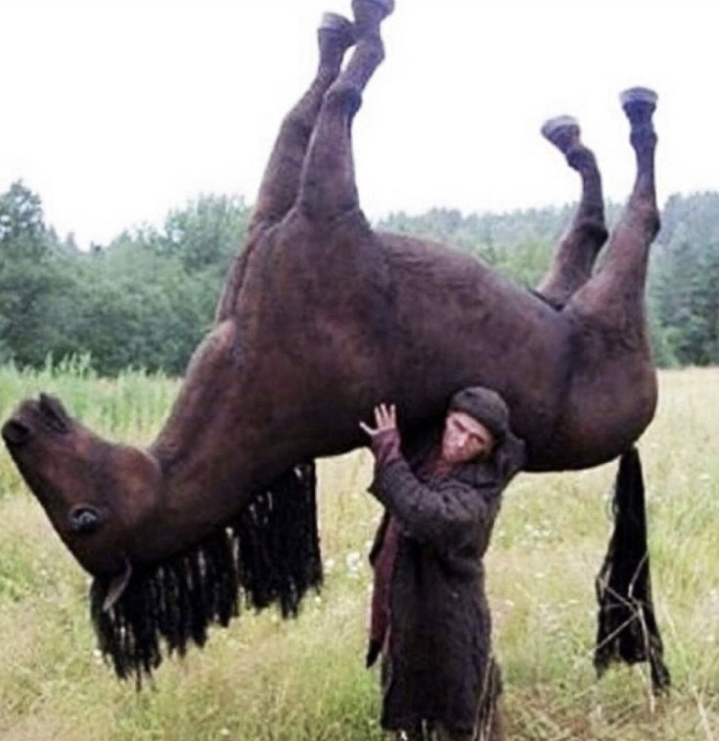 guy holding a horse